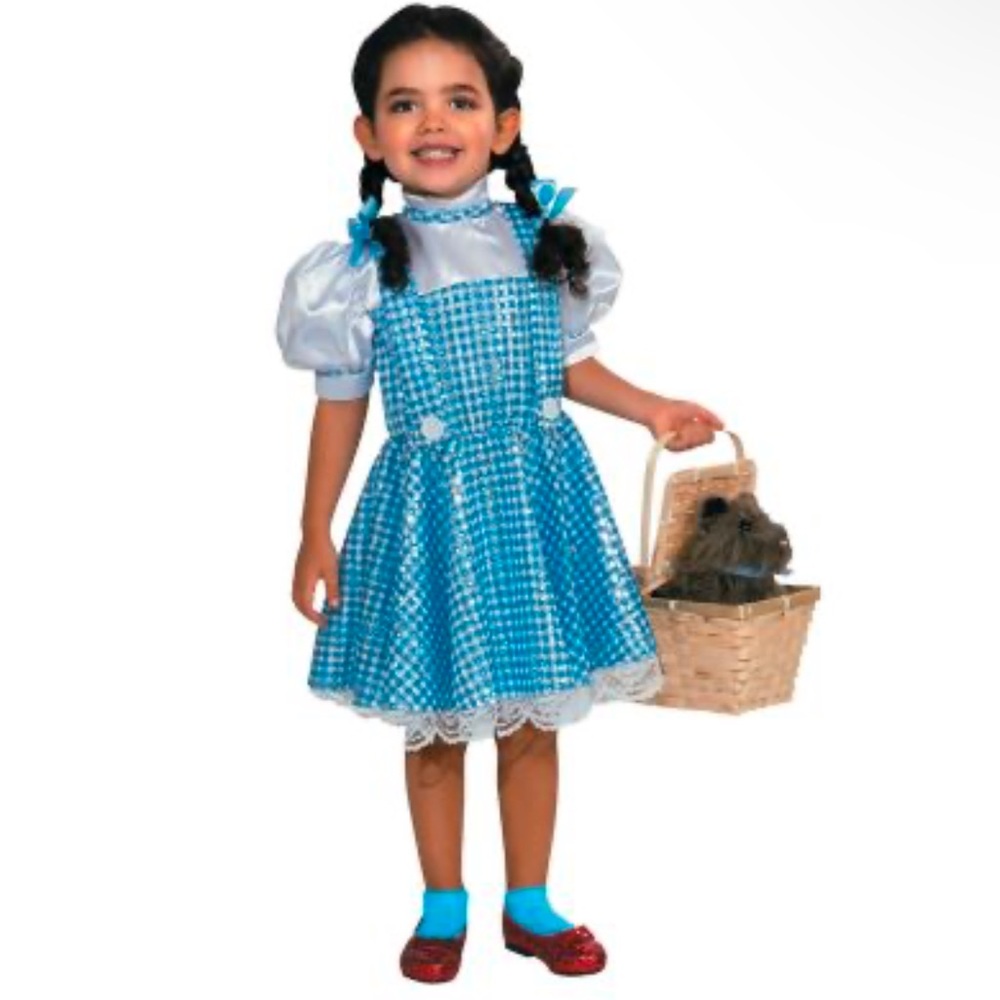 Wizard of oz Dorothy Blue and White Kids Costume Dress size small